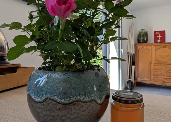 Aux Bulles Colorées D'athis 3*