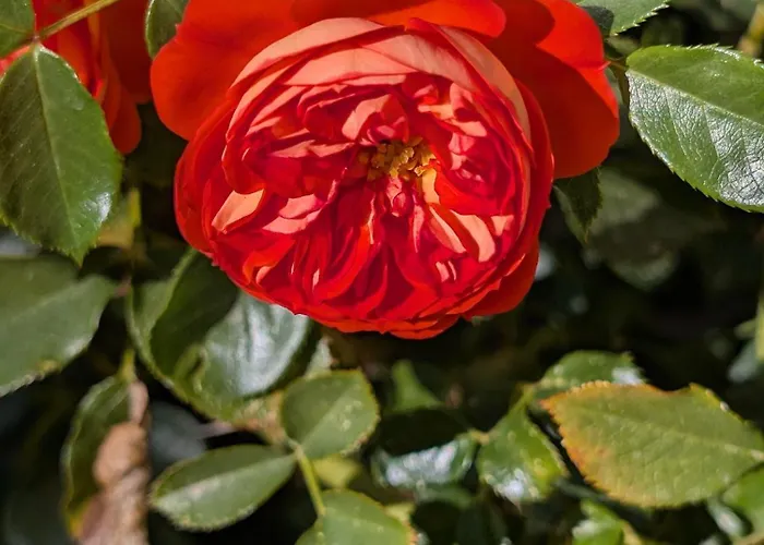 Aux Bulles Colorées D'athis 3* Athis (Marne)